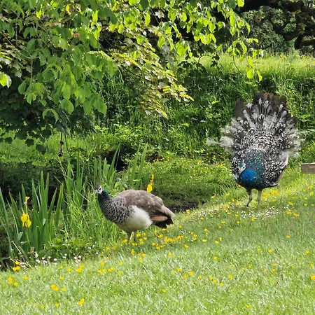 Rowrah Hall - The Old Hayloft *