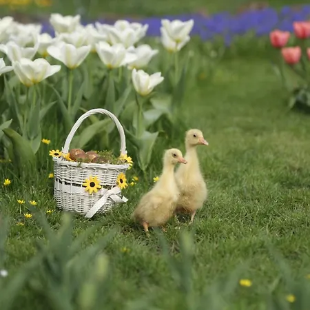 Rowrah Hall - The Old Hayloft